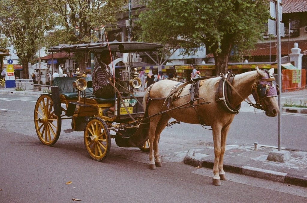 Kereta kuda jogja