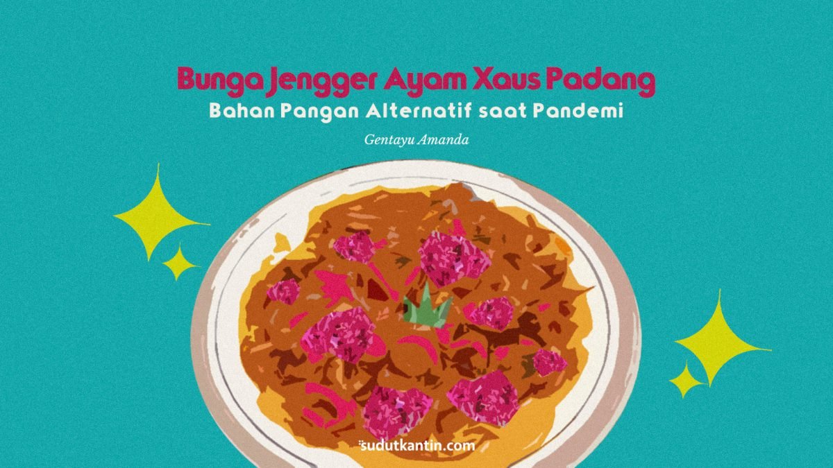 Bunga Jengger Ayam Xaus Padang, Bahan Pangan Alternatif saat Pandemi