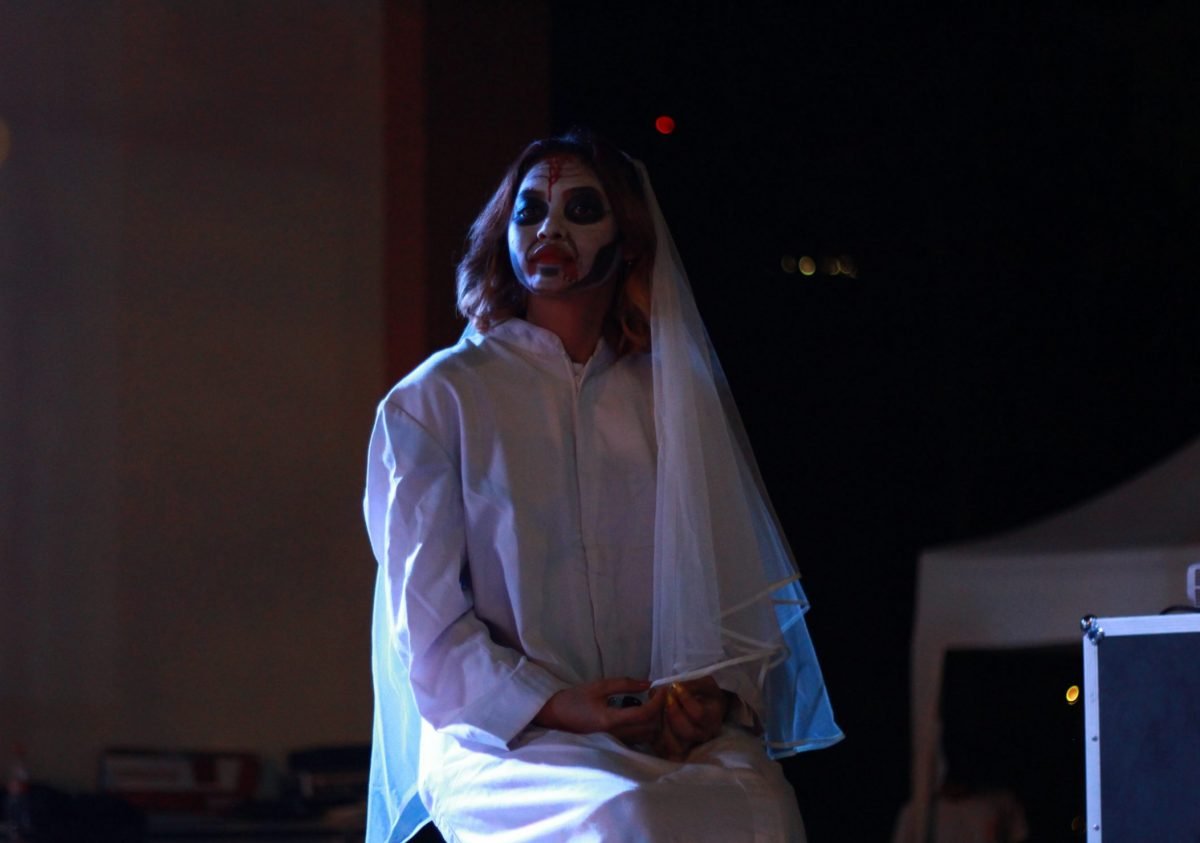 Merayakan Pesta Halloween Bersama Kelelawar Malam